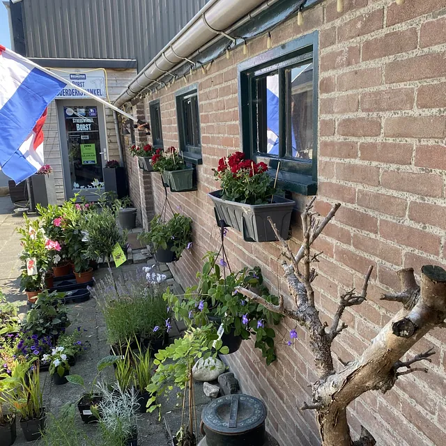 Toegankelijke ingang van de boerderij met bloembakken